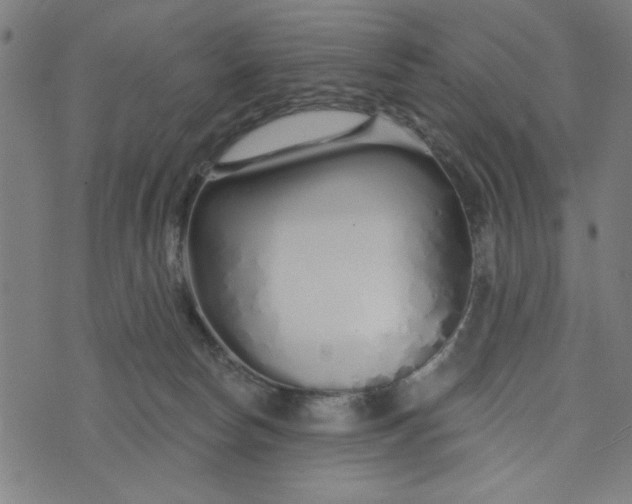 X0000073520178200608211814