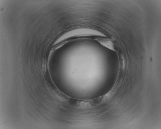 X0000073520180200608211814