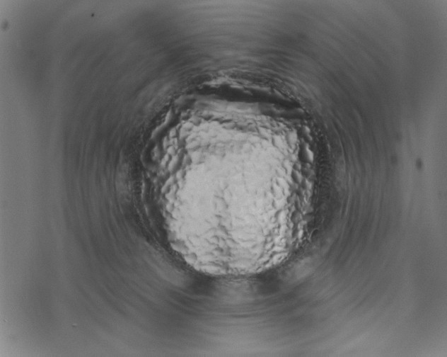 X0000073520181200608211814