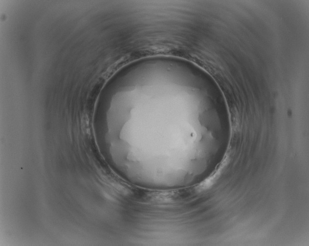 X0000073520182200608211814