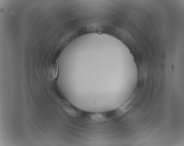 X0000073520183200608211814