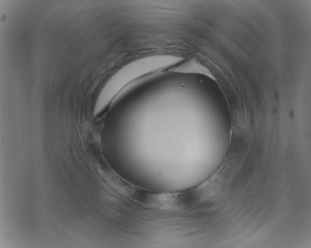 X0000073520184200608211814