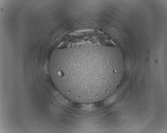 X0000073520185200608211814