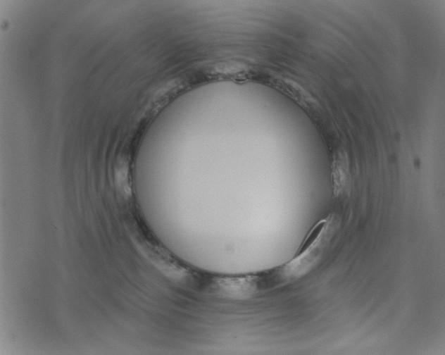 X0000073520187200608211814