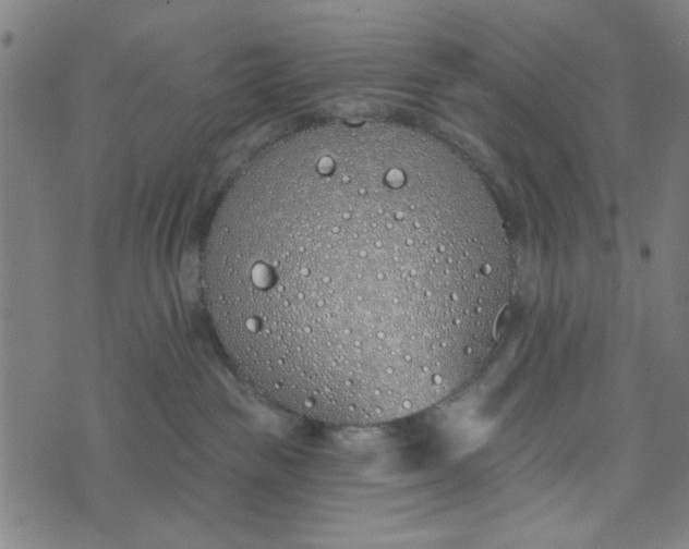 X0000073520189200608211814