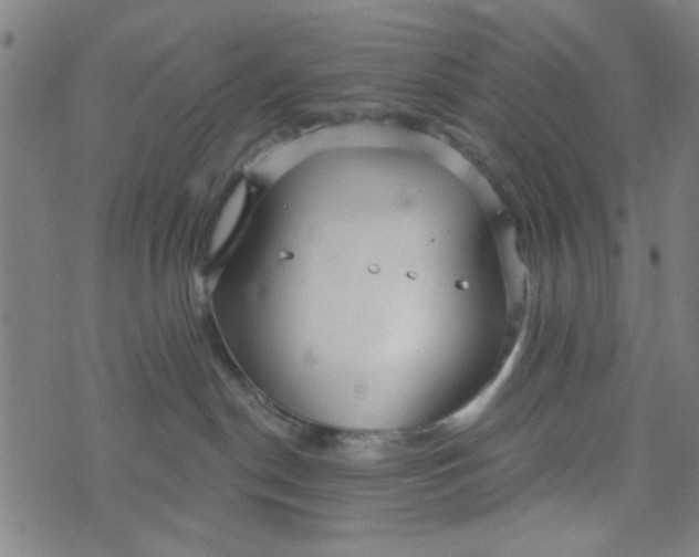 X0000073520190200608211814