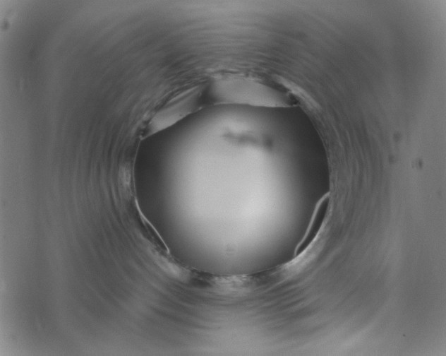 X0000073520192200608211814