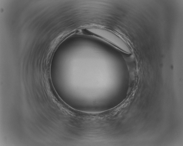 X0000073520193200608211813