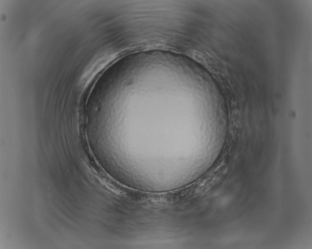 X0000073520194200608211813