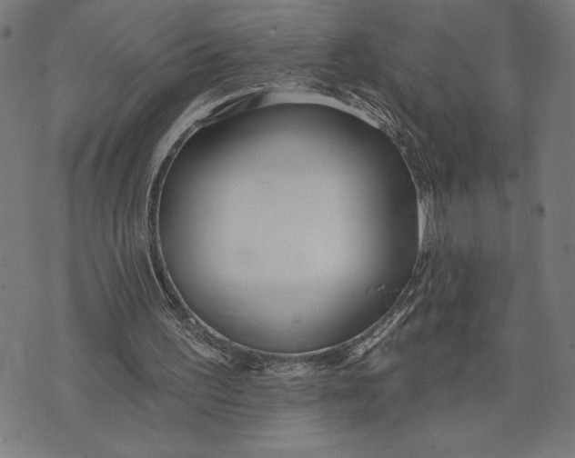 X0000073520195200608211813