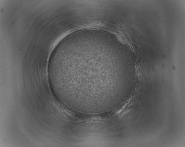 X0000073520196200608211813