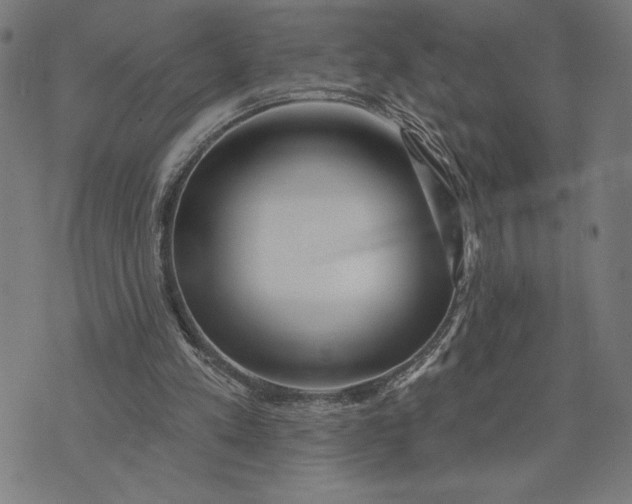 X0000073520197200608211813