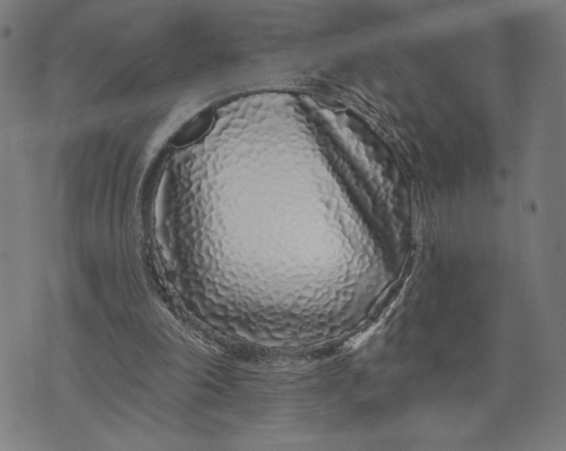 X0000073520198200608211813