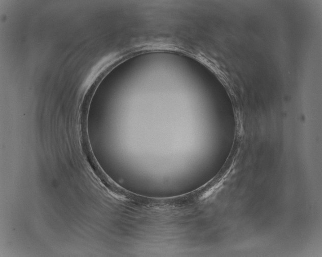 X0000073520199200608211813