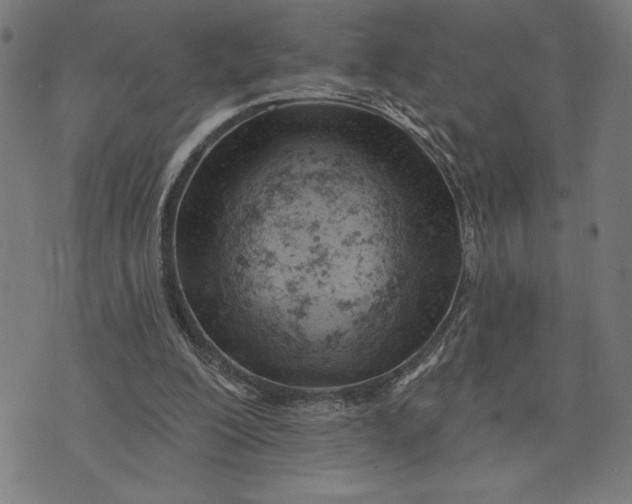 X0000073520200200608211813