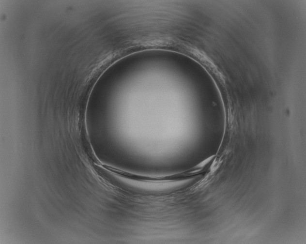 X0000073520201200608211813