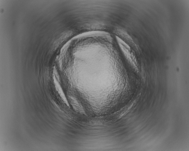 X0000073520202200608211813