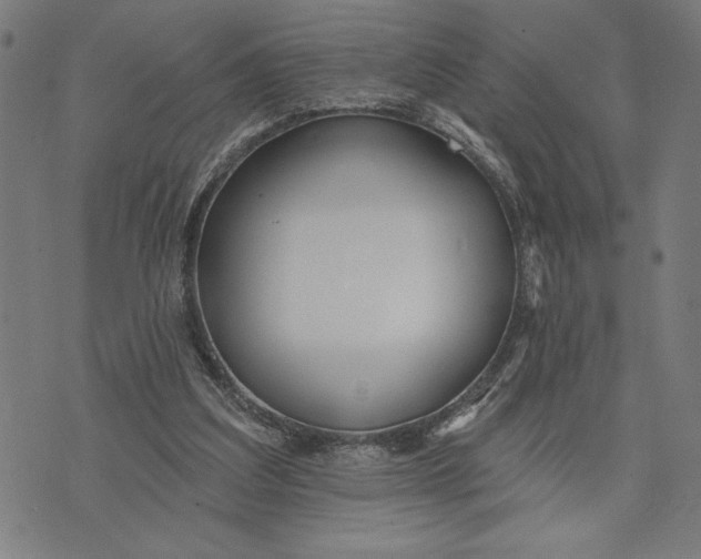 X0000073520203200608211813