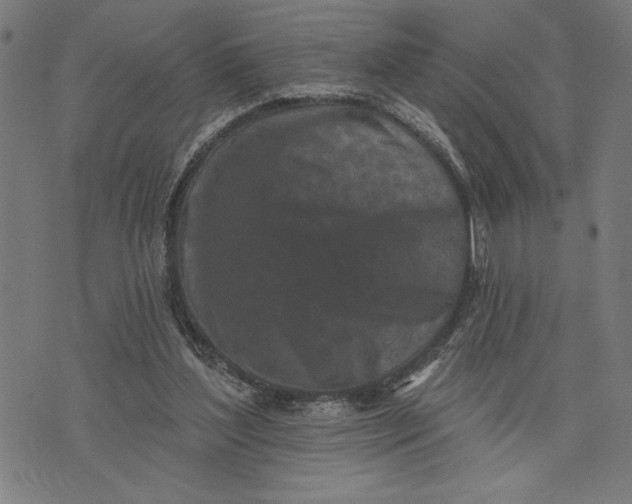 X0000073520204200608211813