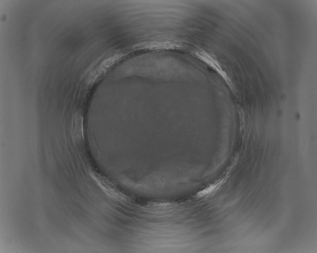 X0000073520205200608211813