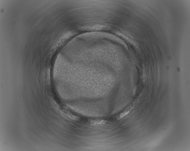 X0000073520206200608211813