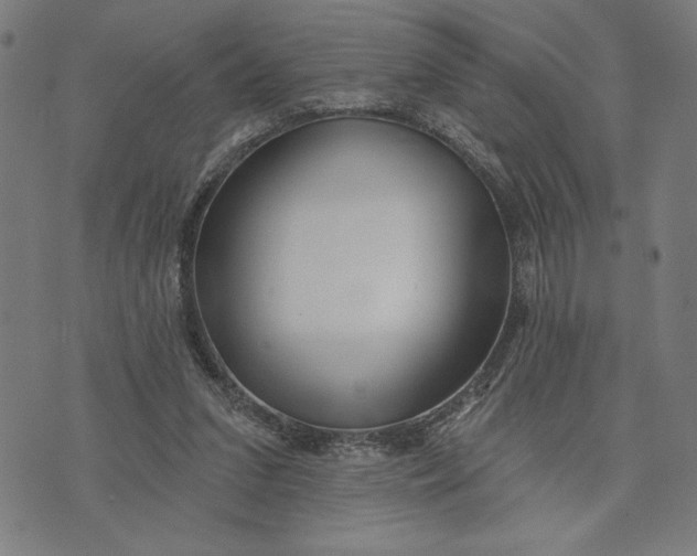 X0000073520207200608211813