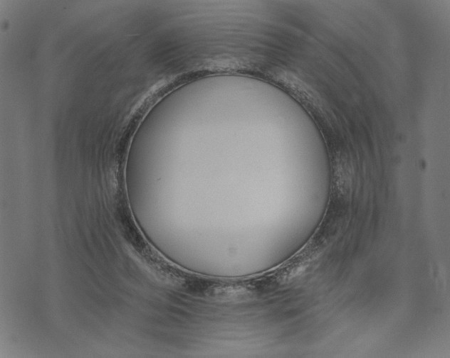 X0000073520208200608211813