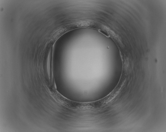 X0000073520209200608211813