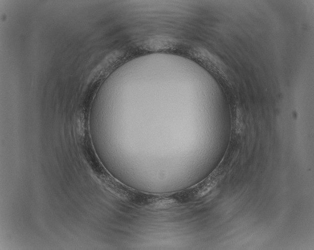 X0000073520210200608211813