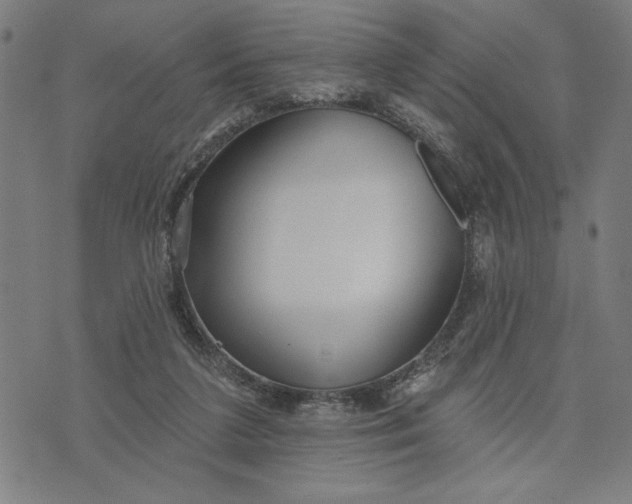 X0000073520211200608211813