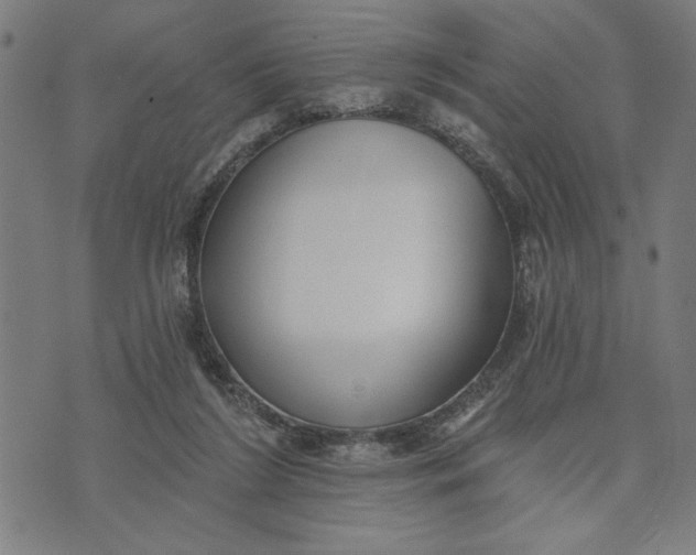 X0000073520212200608211813