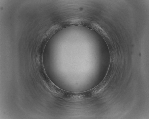 X0000073520213200608211813