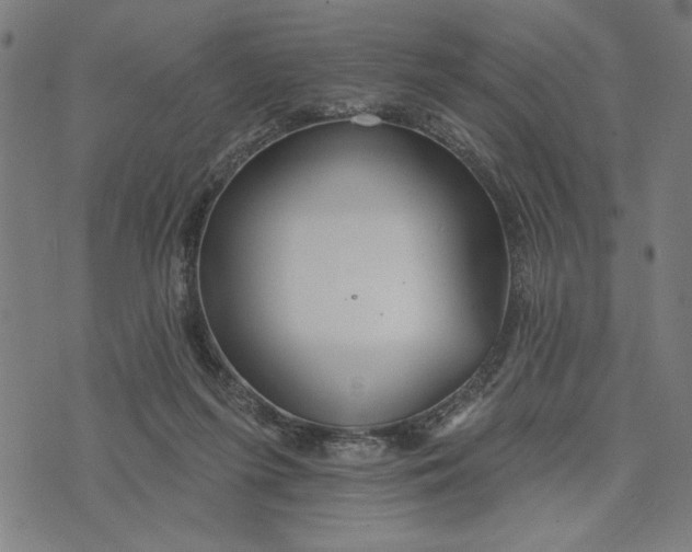 X0000073520215200608211813