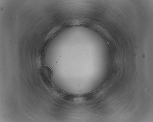 X0000073520216200608211813