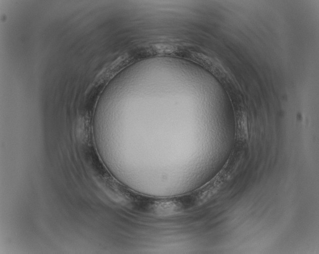 X0000073520218200608211813