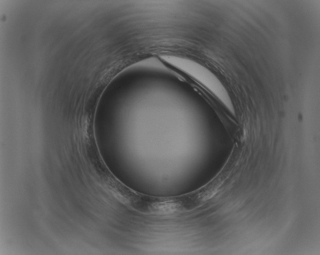 X0000073520219200608211813