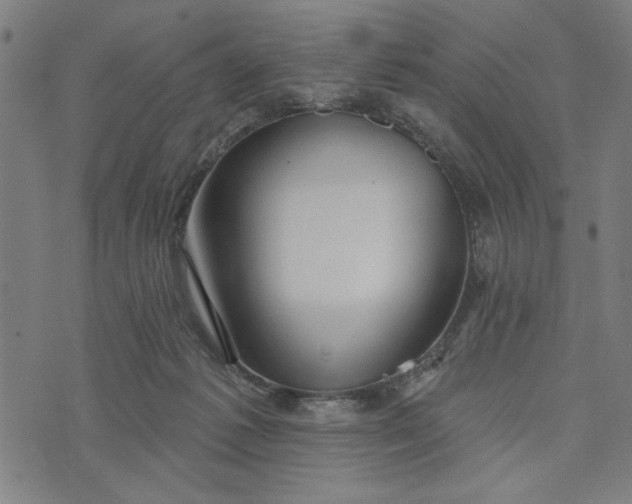 X0000073520221200608211813