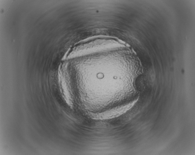 X0000073520222200608211813