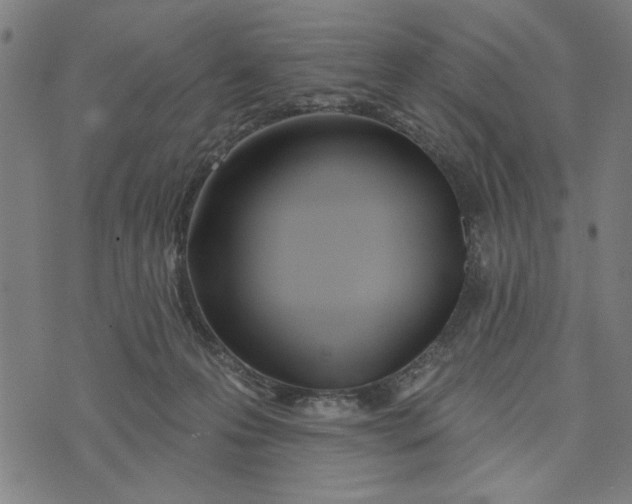 X0000073520223200608211813