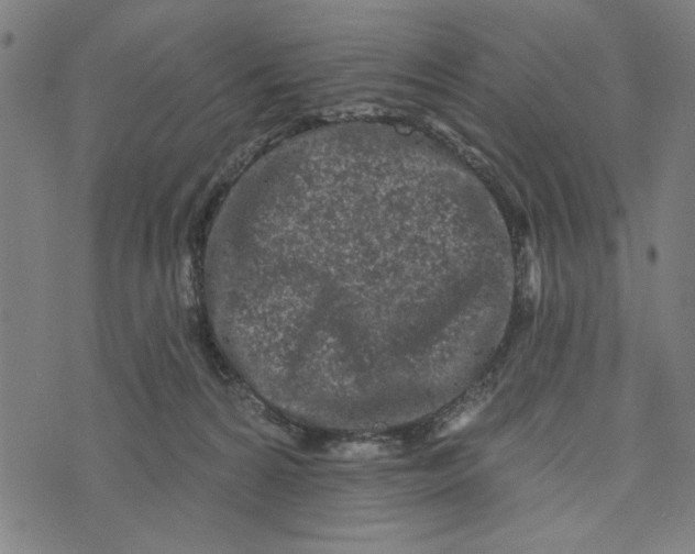 X0000073520224200608211813