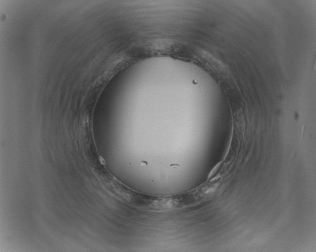 X0000073520225200608211813