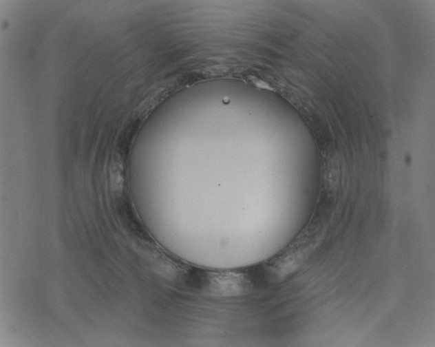 X0000073520226200608211812