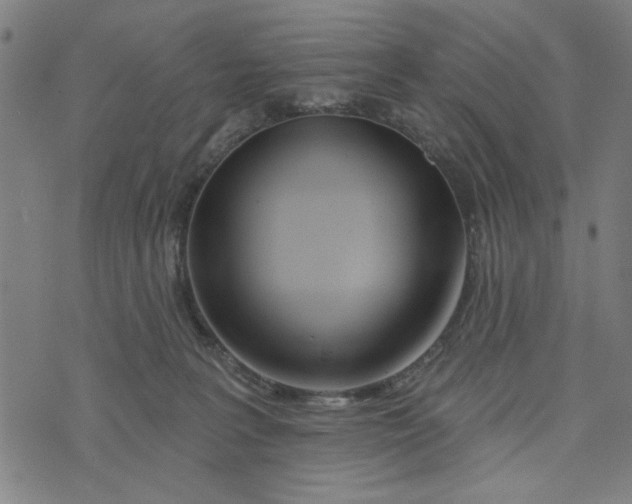 X0000073520227200608211812