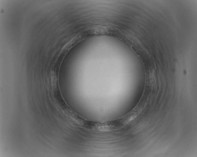 X0000073520228200608211812