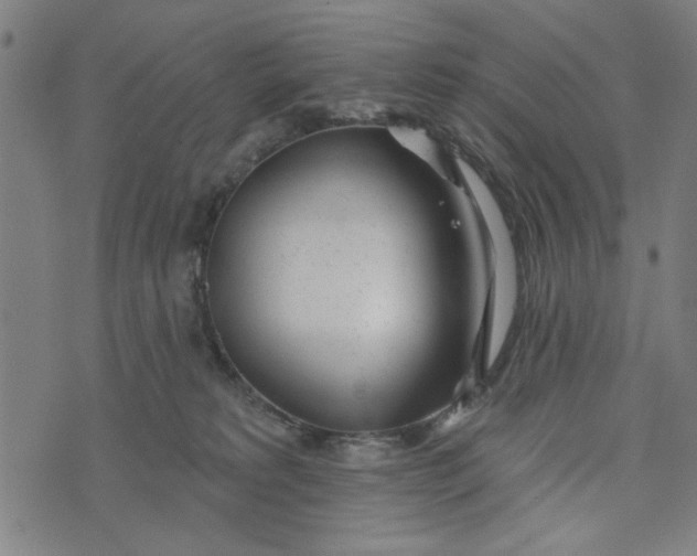 X0000073520229200608211812