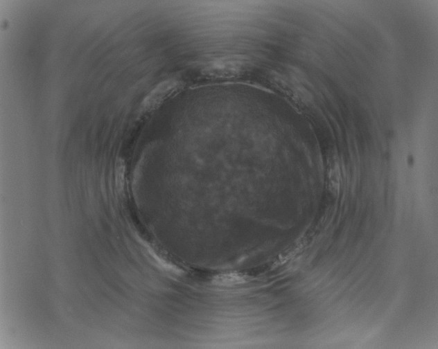 X0000073520231200608211812