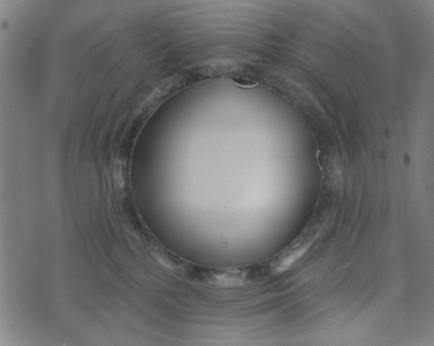 X0000073520232200608211812