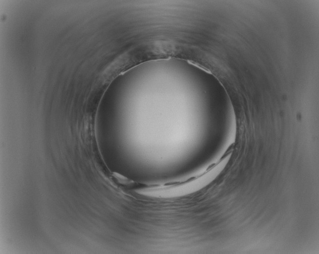 X0000073520233200608211812