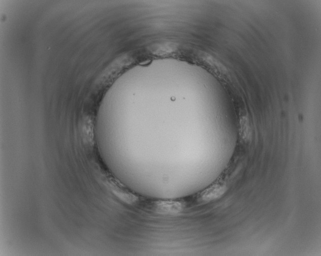 X0000073520234200608211812