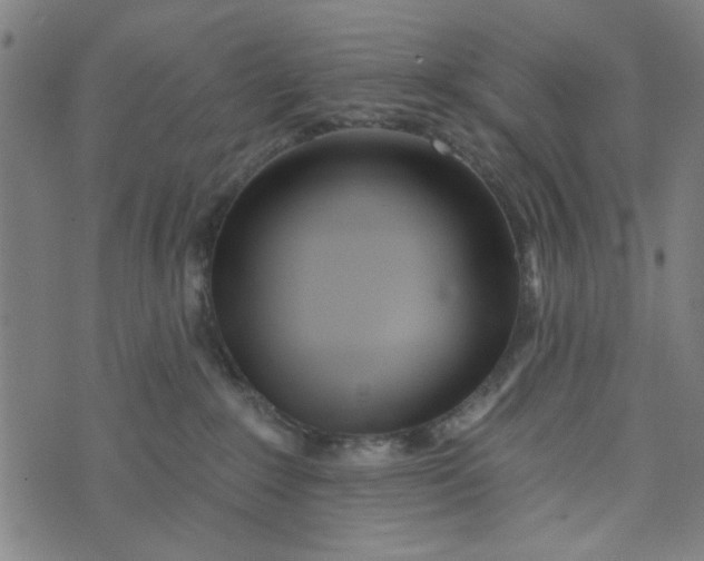 X0000073520235200608211812